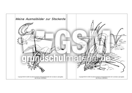 Mini-Buch-Ausmalbilder-Stockente-1-6.pdf